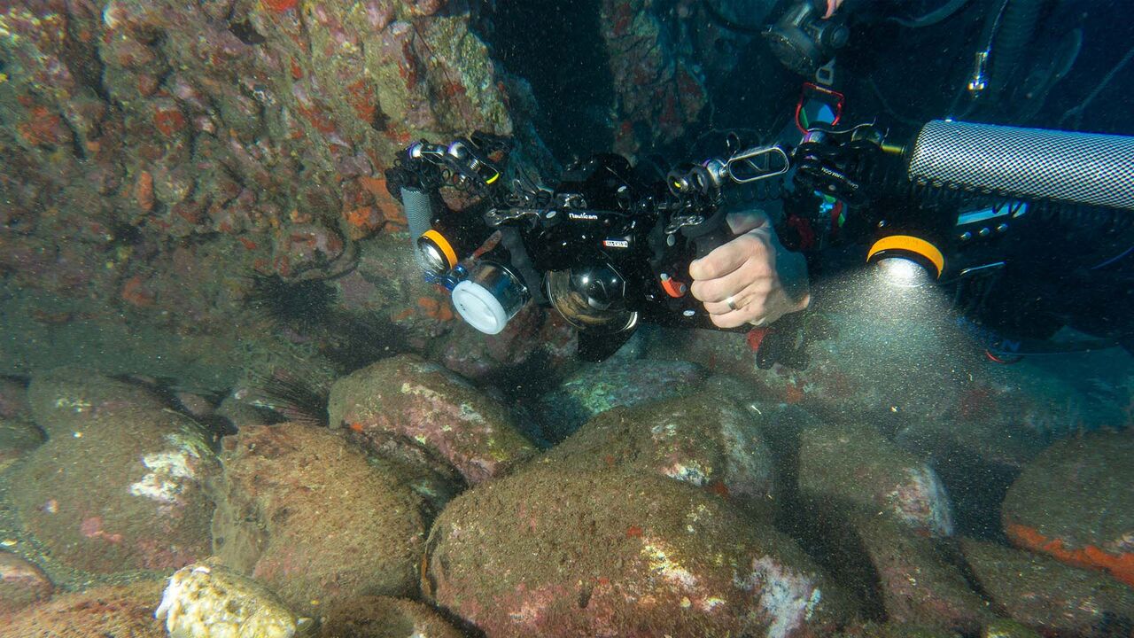 OrcaTorch underwater flashlight