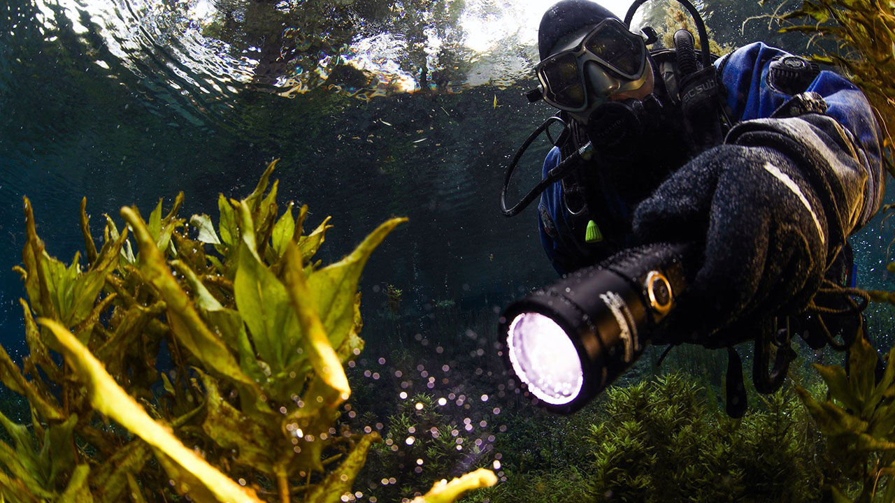 OrcaTorch D530 Dive Light best underwater flashlight