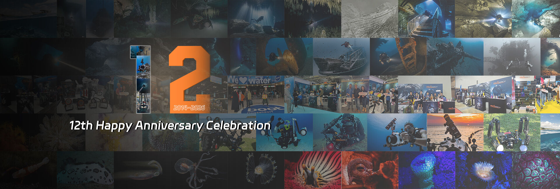 Celebrating OrcaTorch’s 12th Anniversary