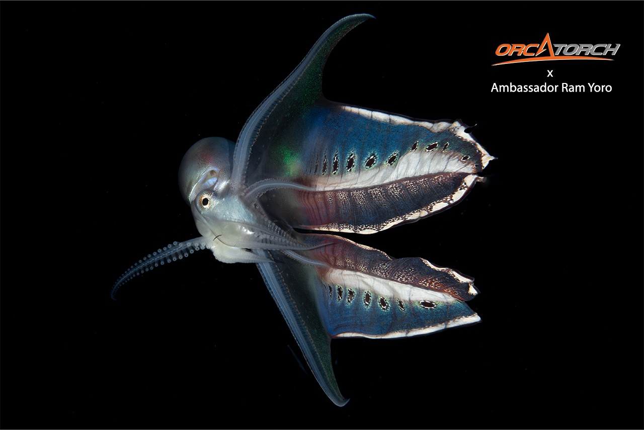 OrcaTorch ambassador Ram Yoro (5).jpg