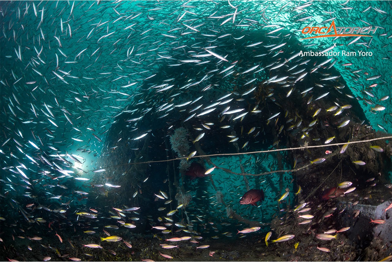 OrcaTorch ambassador Ram Yoro (7).jpg