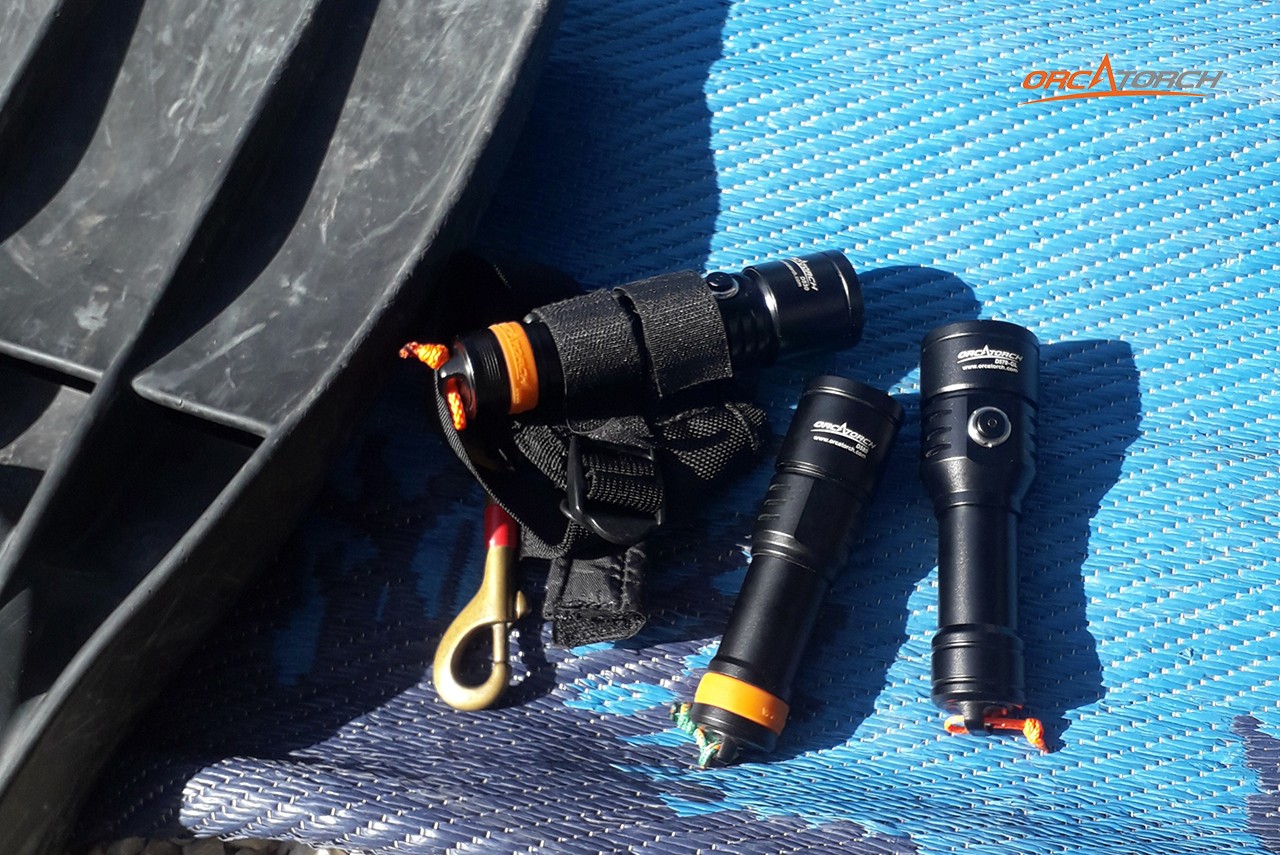 1764582638384678.jpg Me and OrcaTorch -2.jpg