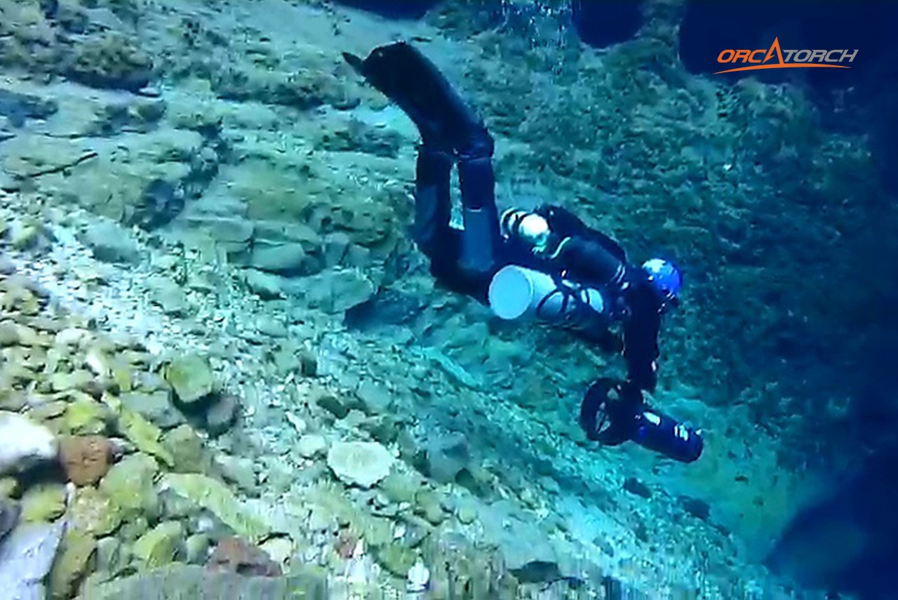 1764582677383939.jpg Me and OrcaTorch -4.jpg