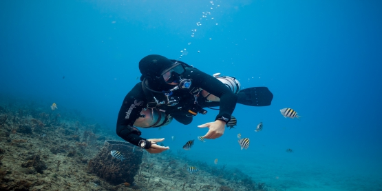 6 Most Important Benefits Of Local Diving