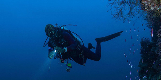 Four Tips to Choose a Dive Light