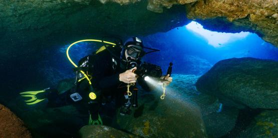 Dive Right In! Essential Tips for a Useful Diving Adventure