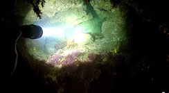 OrcaTorch D511 2200 Lumens Dive Light Test and Review