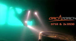 Testing the OrcaTorch D710 & D530 Dive Lights