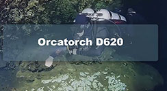 OrcaTorch D620 Primary Canister Dive Light