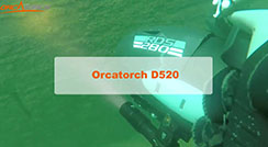 OrcaTorch D520 1000 Lumens Scuba Diving Light 